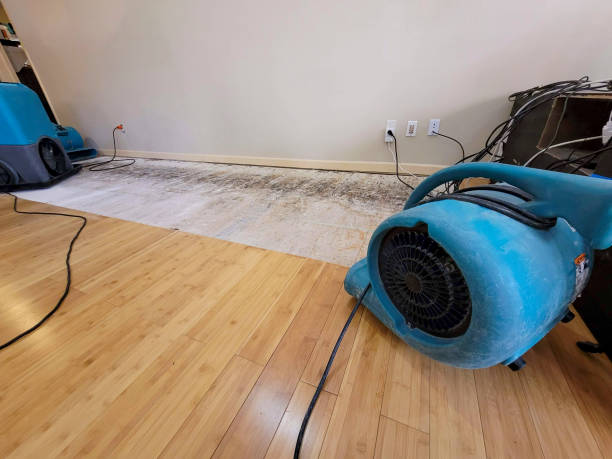 Professional Water Damage Repair technician working in Elizabethtown, IN